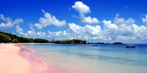 Trip Pantai Pink 7 wisata di lombok yang wajib dikunjungi indah dan menakjubkan